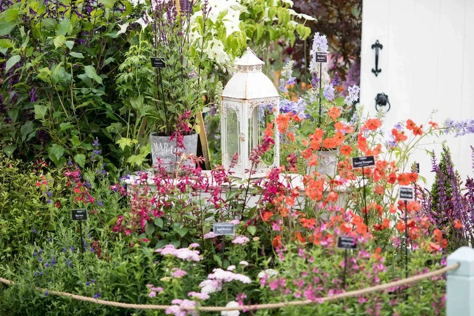 Middleton Nurseries