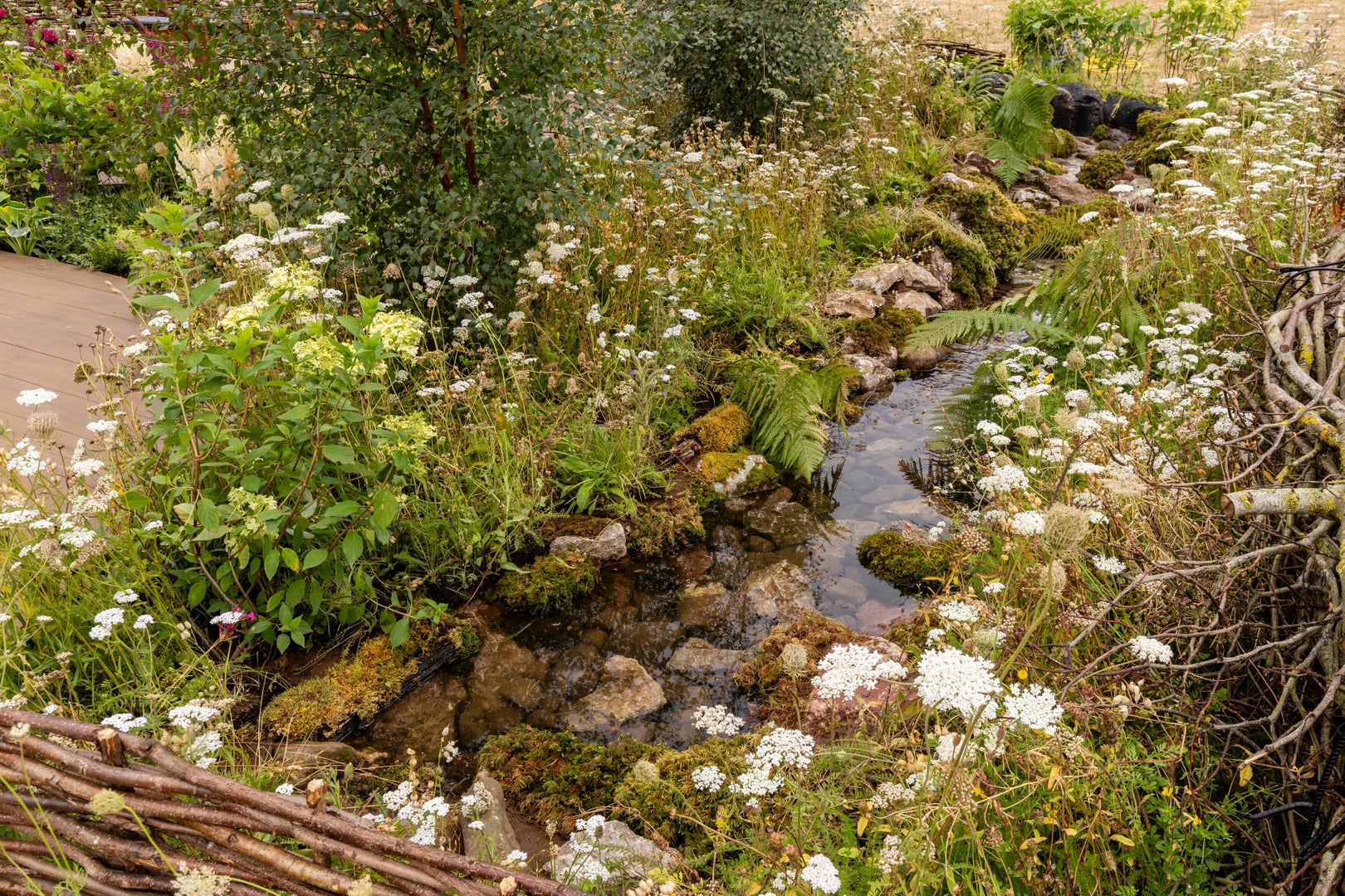 Mindful Meadowlands