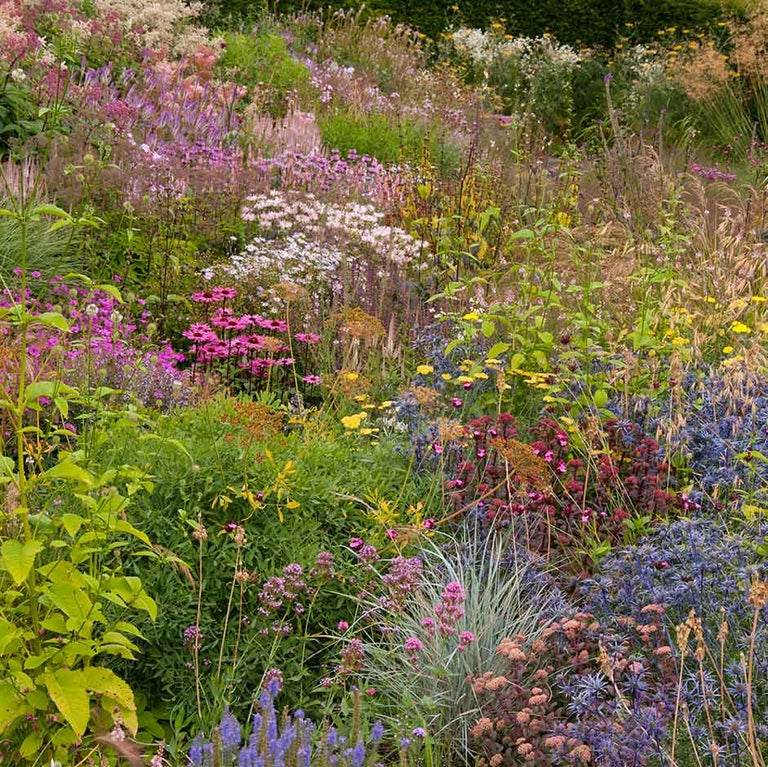 Prairie planting: creation and maintenance