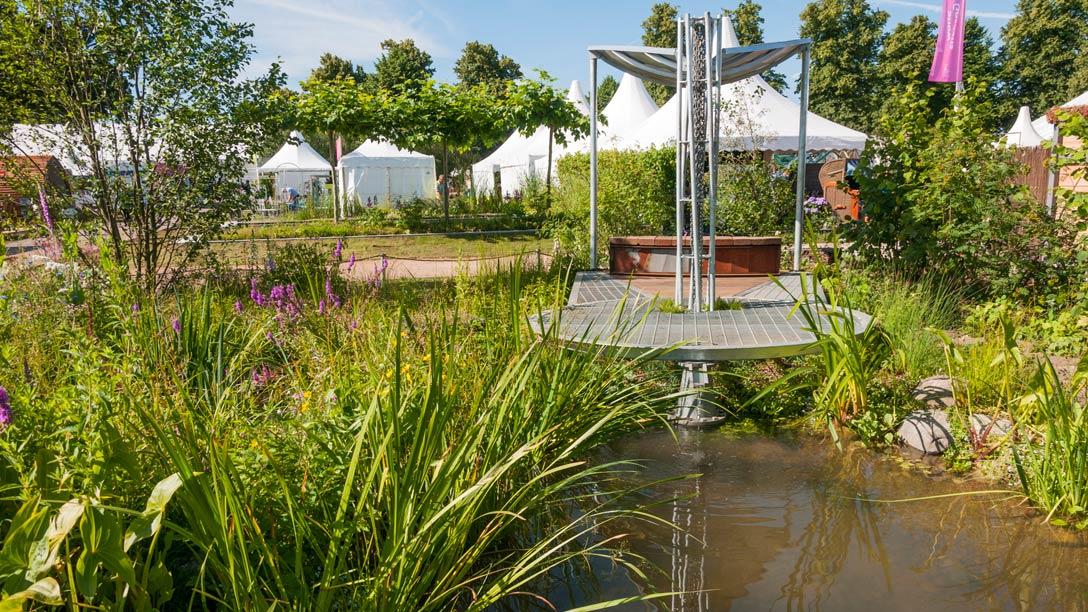 A pond with a structure and plants in the background