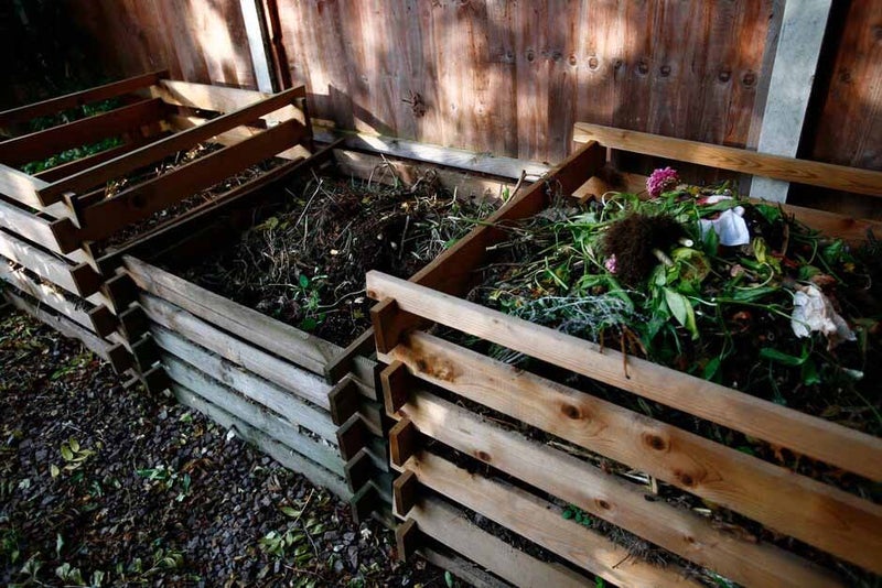 Large to medium garden or allotment