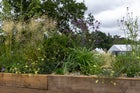 Thumbnail: Norfolk Coast: A Long Border for Climate Resilience