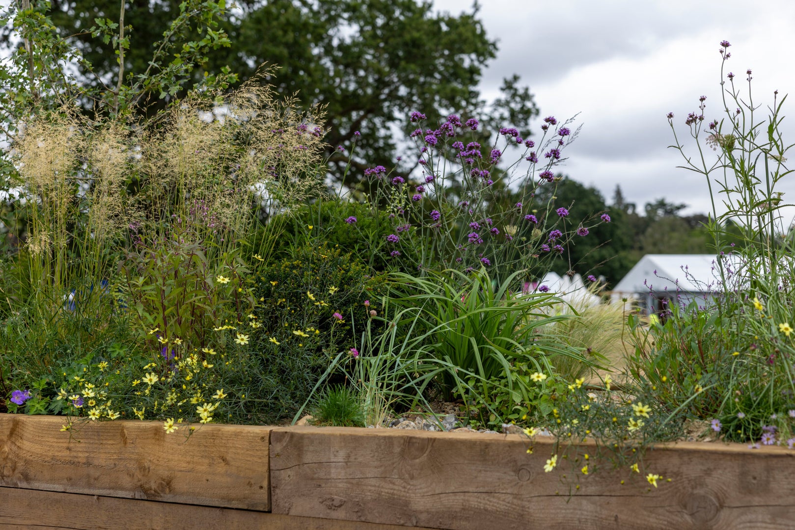 Norfolk Coast: A Long Border for Climate Resilience