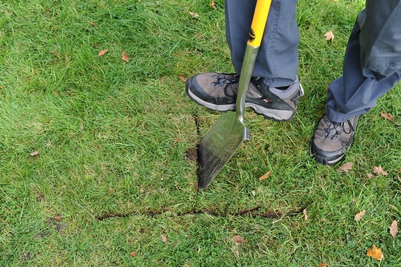 Repairing Lawns: Reseeding and Returfing | RHS Advice