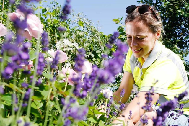 Gardening with health conditions