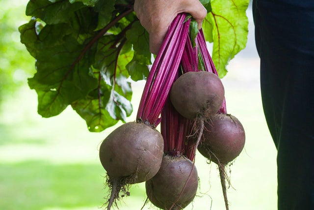 Grow your own fruit & veg