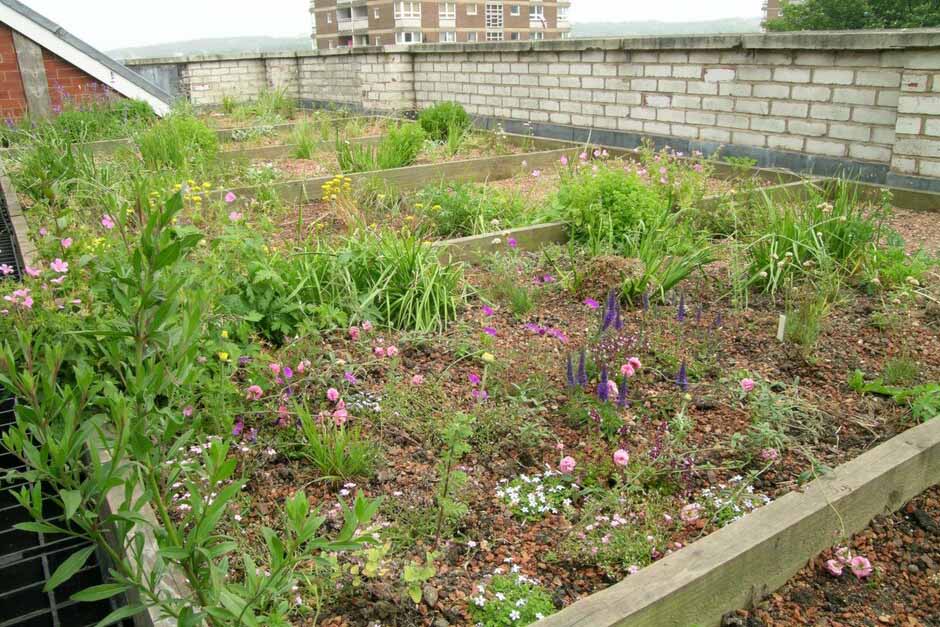 Naturally occurring green roof
