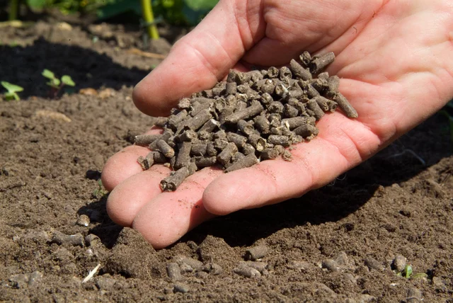 How to choose and use fertiliser
