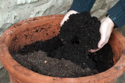 Compost