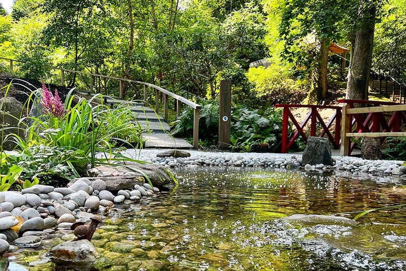 Explorers Garden, Pitlochry