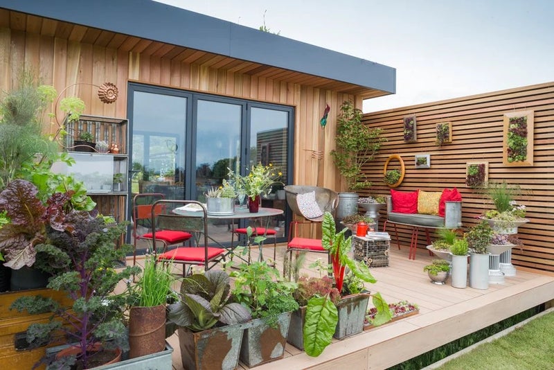 4. Colourful crops make a great choice for small gardens