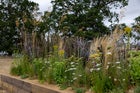Thumbnail: The Habitat Garden