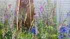 Thumbnail for slide 5