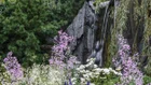 Thumbnail for slide 3