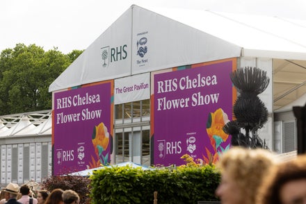 Follow designers and landscapers as the site turns into a show