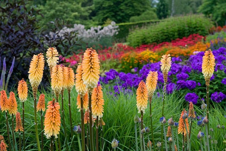 RHS Gardens - inspiration around every corner