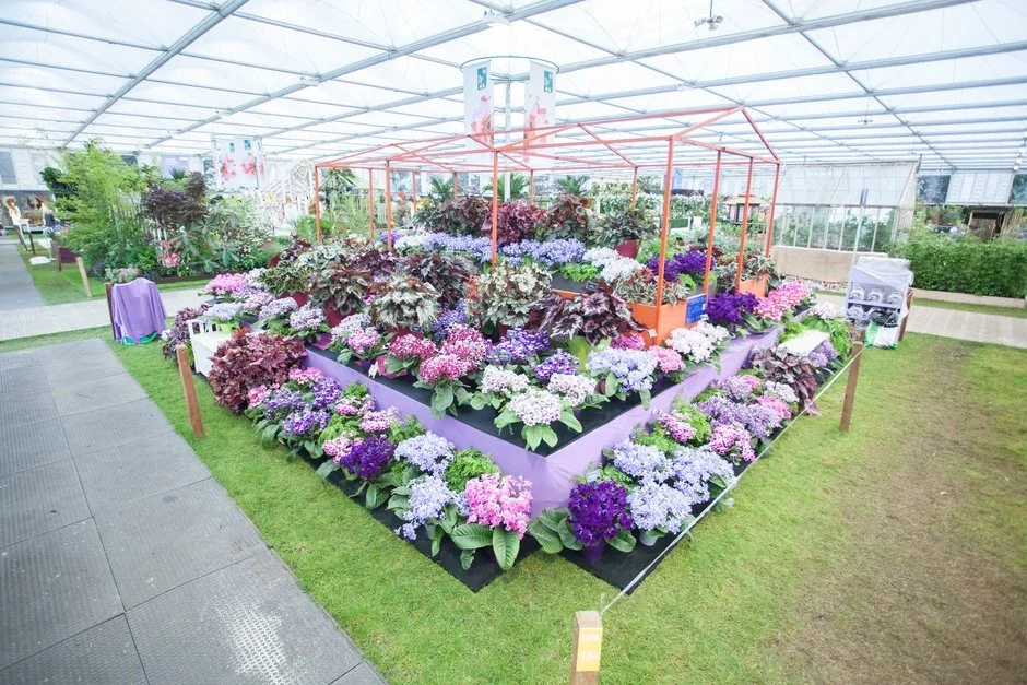 Dibleys Nurseries