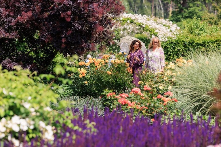 Save 25% on RHS Membership