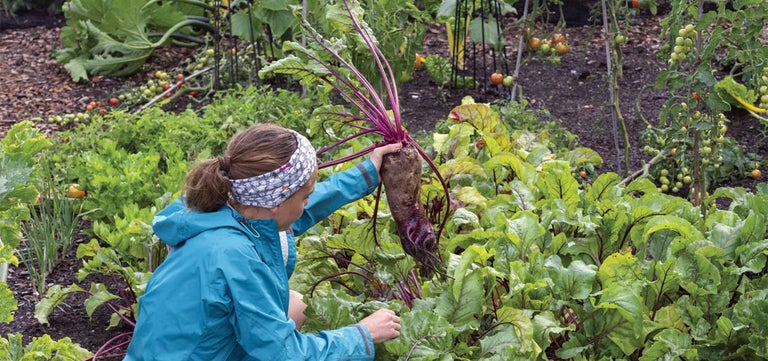 How to be self-sufficient in your growing space