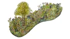 Thumbnail for slide 7