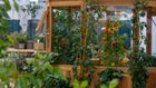 Thumbnail for slide 3