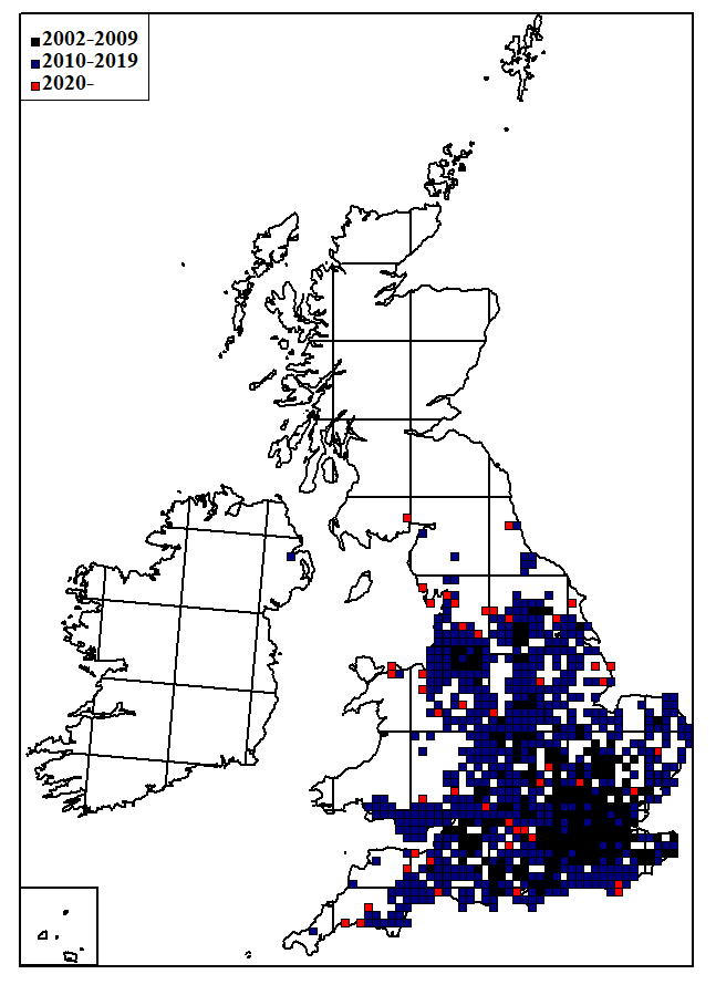 Thumbnail for slide 2