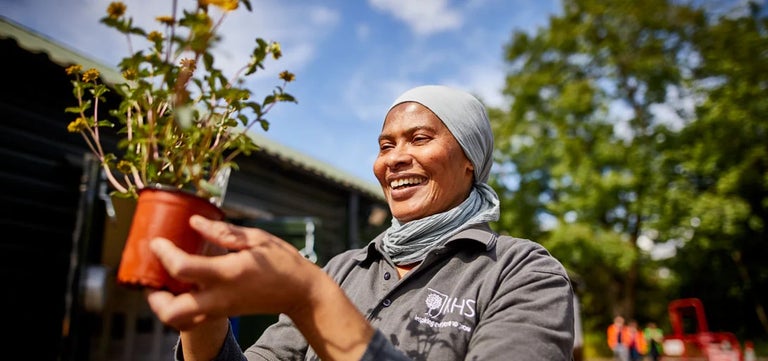 The Therapeutic Gardener