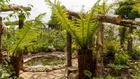 Thumbnail for slide 4