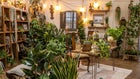 Thumbnail: A room with plants and a table