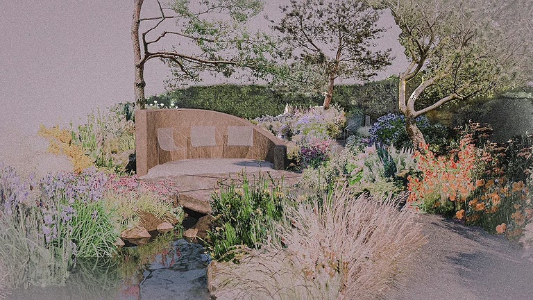 Stroke Association’s Garden for Recovery
