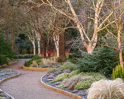 Garden design