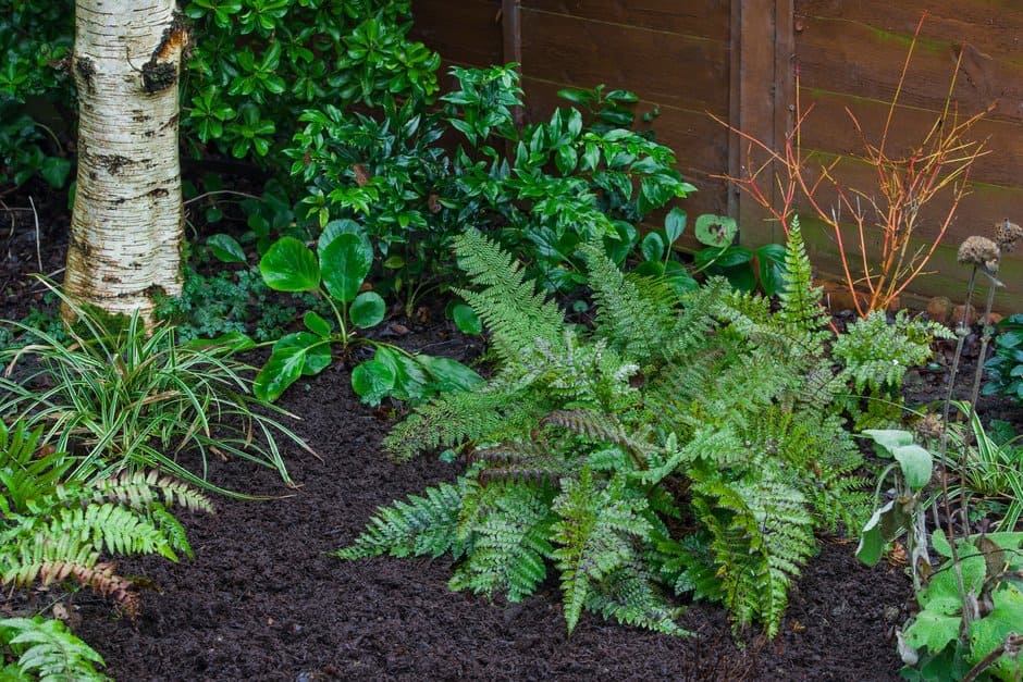 How to reuse spent compost | RHS Advice