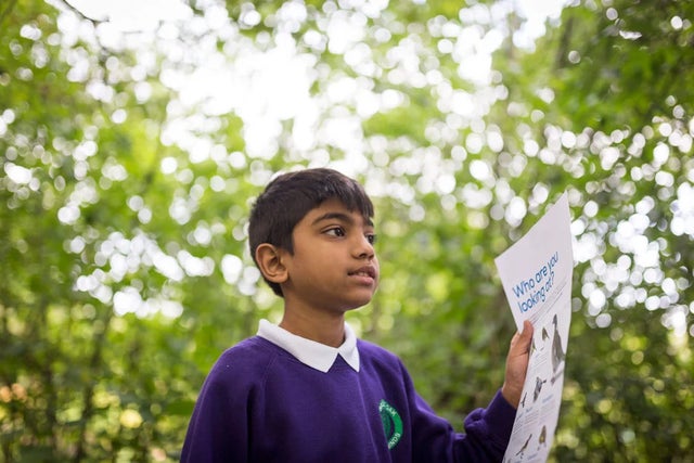 RHS Campaign for School Gardening