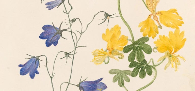 Botanical art exhibition