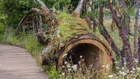 Thumbnail for slide 4