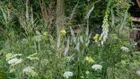 Thumbnail for slide 4