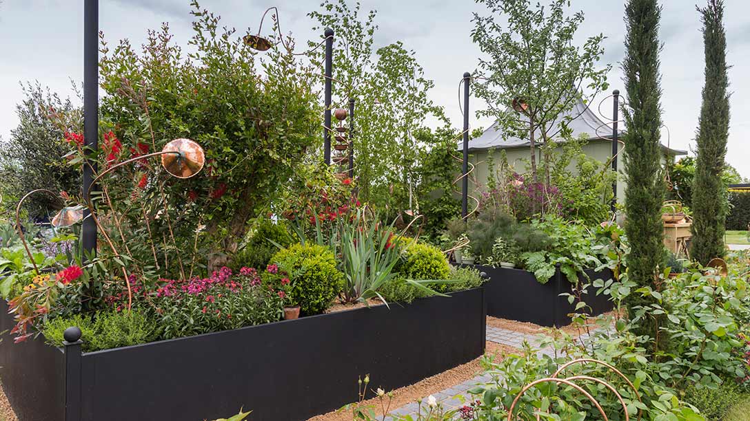 A garden with plants and trees