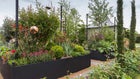 Thumbnail: A garden with plants and trees