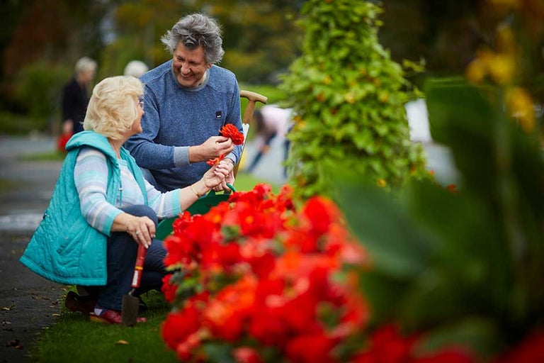 Get involved in community gardening