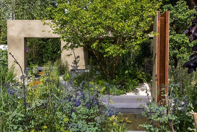 See all the gardens at RHS Chelsea 2026