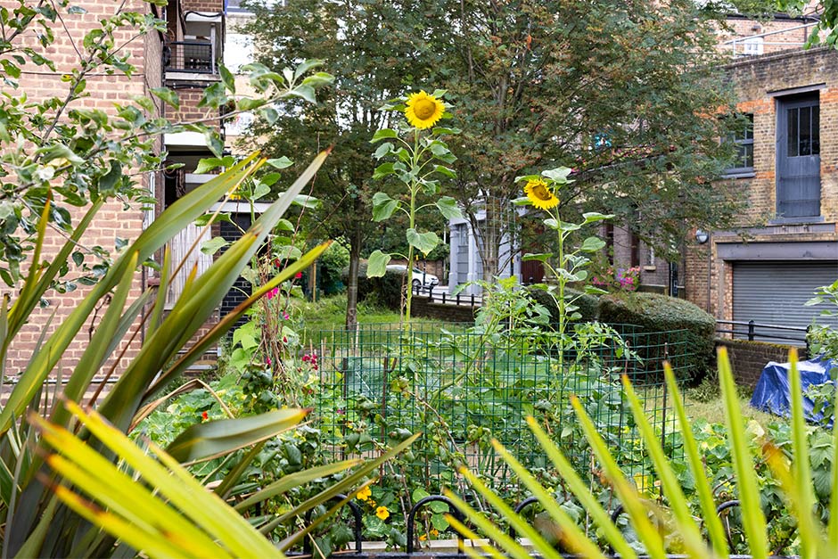 Grow Your Own Garden