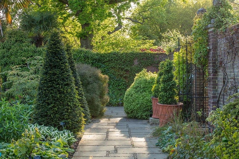 Using award-winning plants in your garden