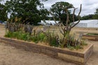 Thumbnail: The Habitat Garden
