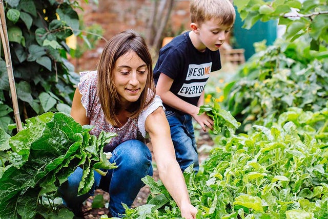 Gardening for health and wellbeing