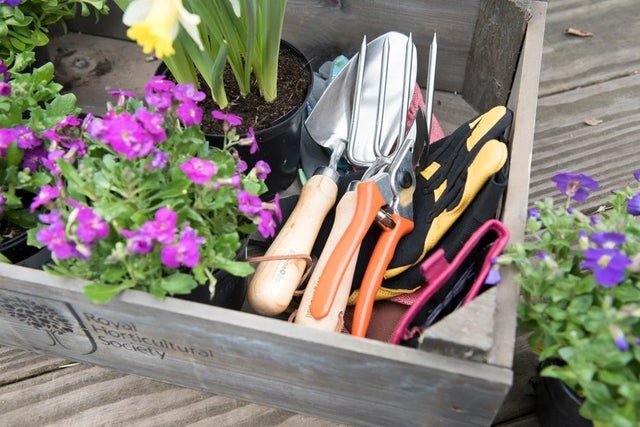 Gardening with SEN children