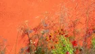 Thumbnail for slide 4