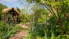 Thumbnail for slide 1