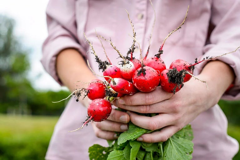 Grow your own