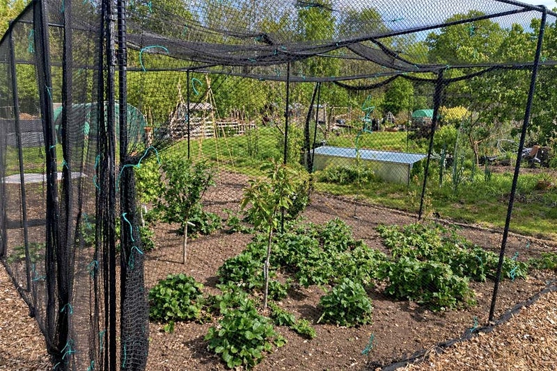 A garden with a net
