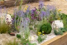 Thumbnail: Gardens on the Edge